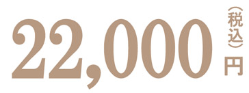 22,000円（税込）
